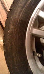 click for enlarge 1552 X 2592 400.9 Kb picture