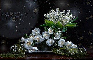 click for enlarge 800 X 518 116.1 Kb picture