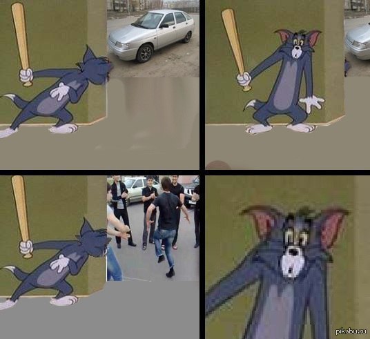 536 x 491