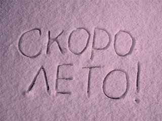 click for enlarge 600 X 450 49.4 Kb picture