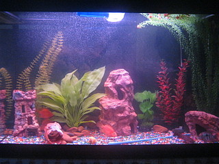 click for enlarge 1600 X 1200 602.4 Kb picture