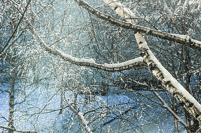 click for enlarge 1920 X 1276 569.1 Kb picture