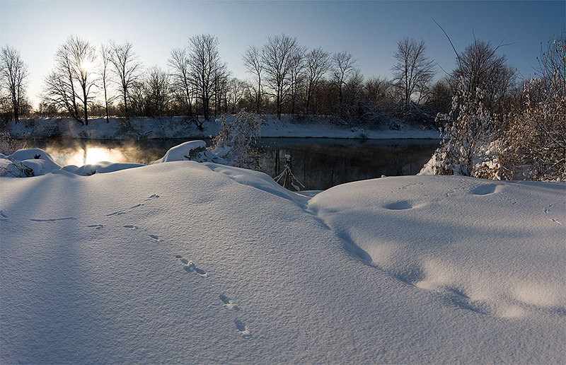 click for enlarge 1000 X 645 172.0 Kb picture