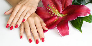 click for enlarge 568 X 288 32.5 Kb picture