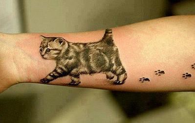 click for enlarge 500 X 317 19.7 Kb picture