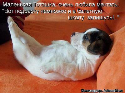 click for enlarge 604 X 453  44.2 Kb picture