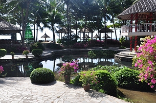 click for enlarge 1024 X 680 622.5 Kb picture