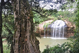 click for enlarge 1024 X 680 486.2 Kb picture