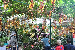 click for enlarge 1024 X 680 527.5 Kb picture