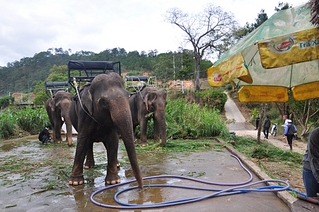 click for enlarge 1024 X 680 541.7 Kb picture