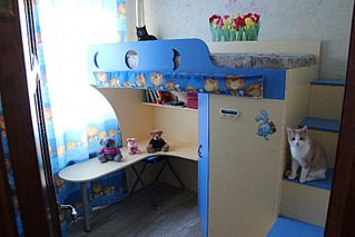 click for enlarge 800 X 533 142.3 Kb picture