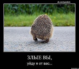 click for enlarge 552 X 480  50.5 Kb picture