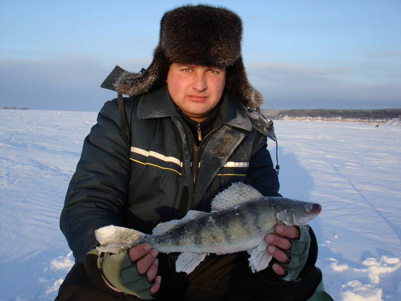 Ижфиш вк. Ижфиш куда ездили 2023. Рыбалка в удмуртии. Рыба пашу. Ижфиш куда ездили 2023.