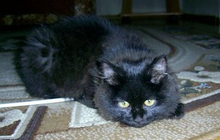 click for enlarge 1024 X 651 91.6 Kb picture