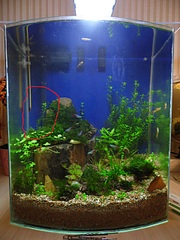 click for enlarge 1920 X 2560 812.6 Kb picture