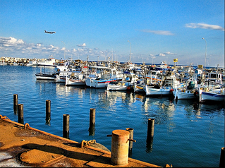 click for enlarge 1100 X 819 941.4 Kb picture