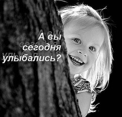 click for enlarge 500 X 478  42.1 Kb picture