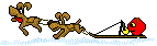 143 x 42