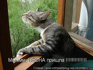 click for enlarge 450 X 338 50.5 Kb picture