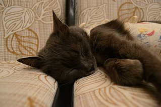 click for enlarge 800 X 533 86.5 Kb picture