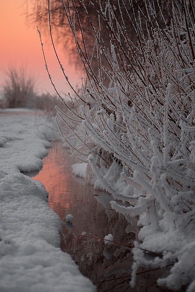 click for enlarge 668 X 1000 276.4 Kb picture