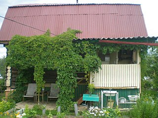click for enlarge 640 X 480 83.6 Kb picture