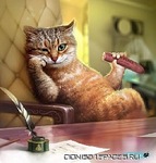 click for enlarge 240 X 251  21.6 Kb picture