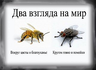 click for enlarge 640 X 464  36.2 Kb picture