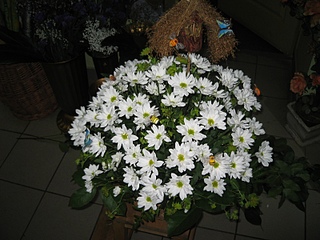 click for enlarge 1600 X 1200 717.5 Kb picture