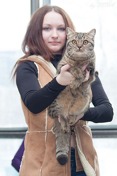 click for enlarge 1606 X 2408 447.6 Kb picture