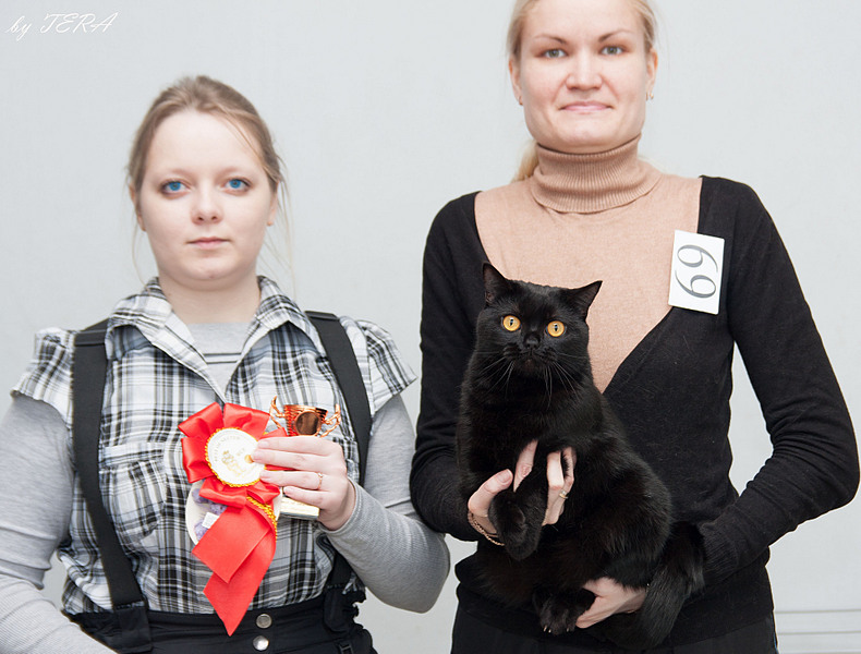 click for enlarge 1920 X 1457 521.8 Kb picture