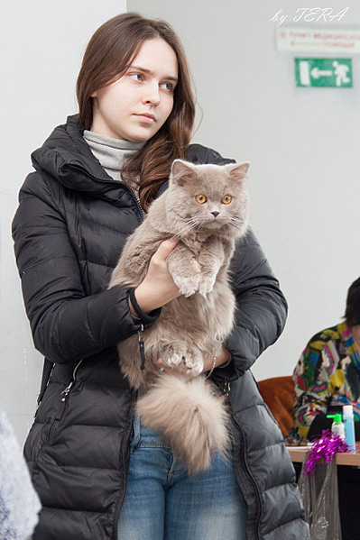 click for enlarge 1627 X 2441 441.0 Kb picture