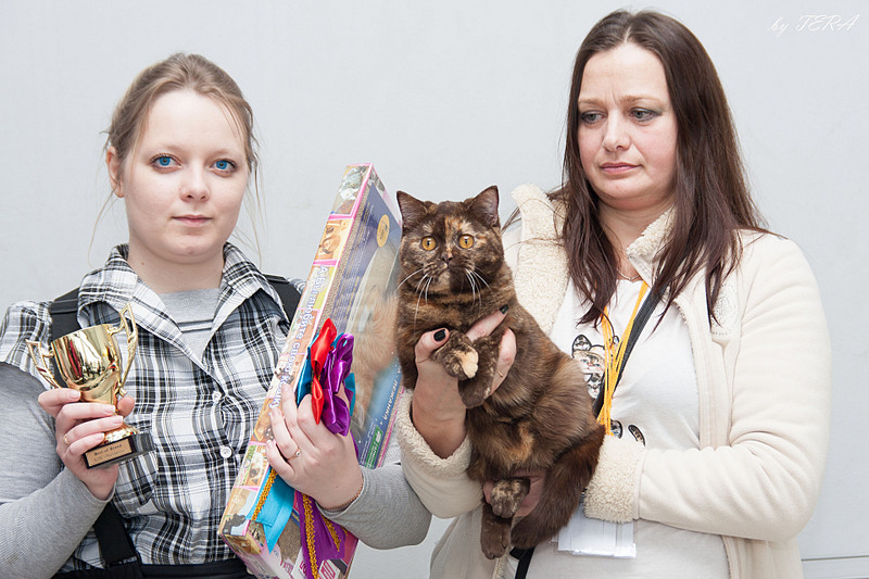 click for enlarge 1920 X 1280 621.7 Kb picture