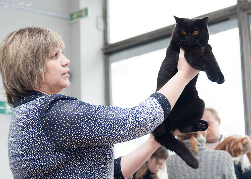 click for enlarge 1920 X 1371 669.2 Kb picture