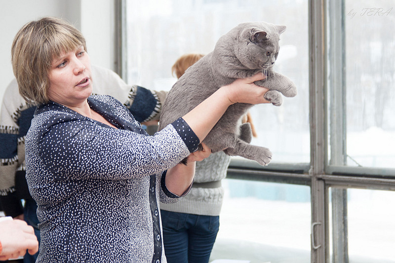 click for enlarge 1920 X 1280 640.5 Kb picture