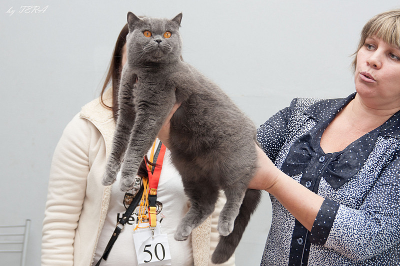 click for enlarge 1920 X 1280 664.1 Kb picture