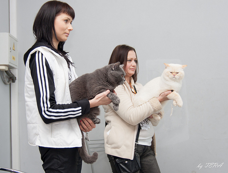 click for enlarge 1920 X 1460 441.1 Kb picture