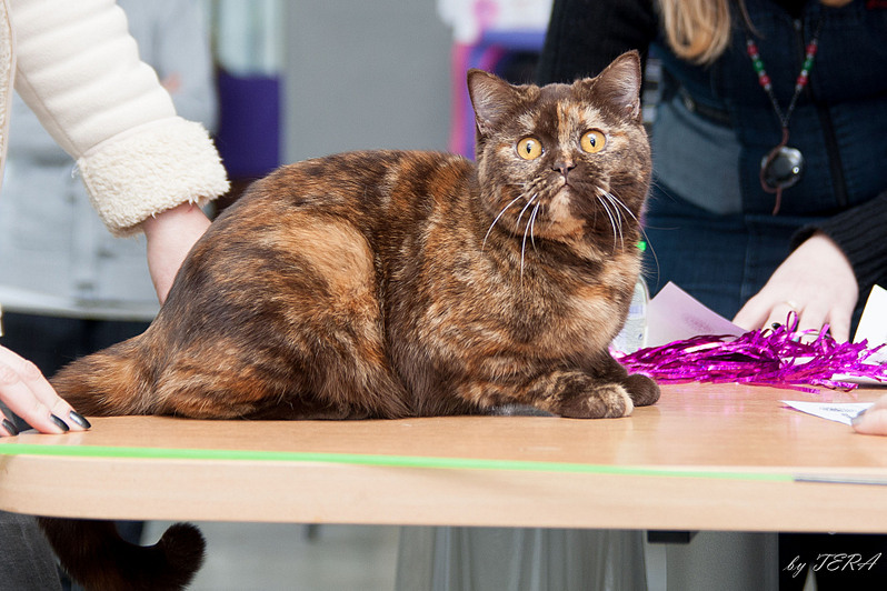 click for enlarge 1920 X 1279 616.8 Kb picture