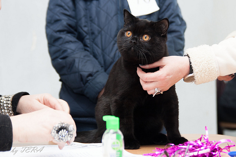 click for enlarge 1920 X 1280 411.7 Kb picture