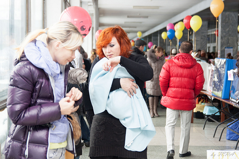 click for enlarge 1920 X 1280 567.4 Kb picture