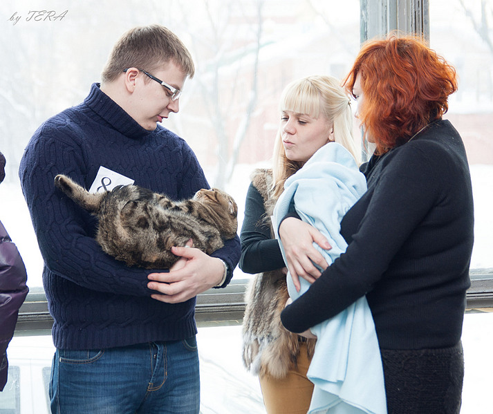 click for enlarge 1920 X 1614 650.9 Kb picture