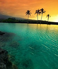 click for enlarge 506 X 604 67.1 Kb picture