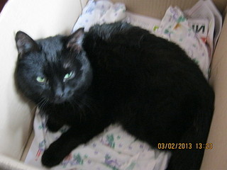 click for enlarge 1920 X 1440 389.3 Kb picture