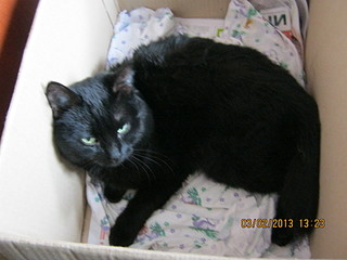 click for enlarge 1920 X 1440 391.1 Kb picture