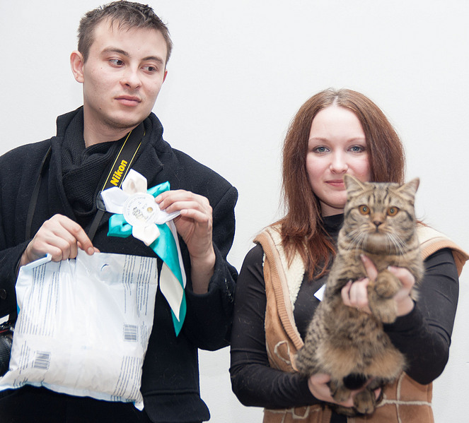 click for enlarge 1920 X 1735 686.2 Kb picture