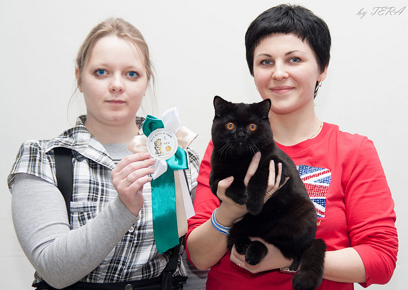 click for enlarge 1920 X 1368 573.7 Kb picture