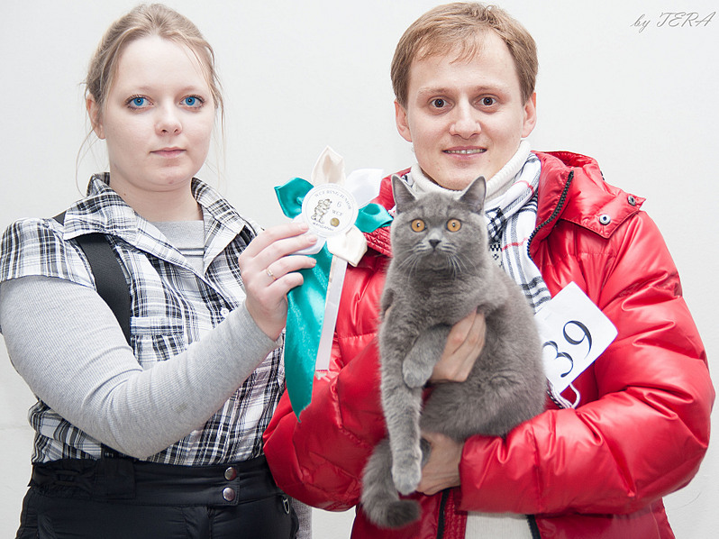 click for enlarge 1920 X 1437 723.6 Kb picture