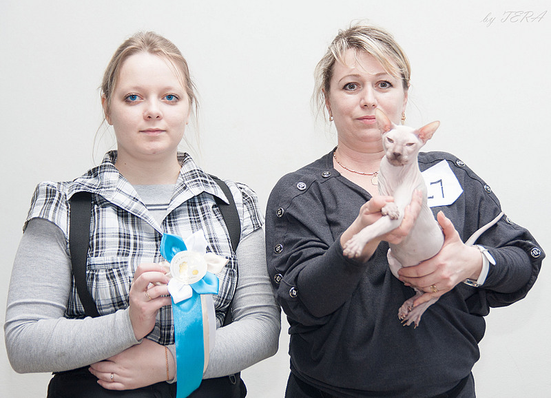 click for enlarge 1920 X 1388 658.4 Kb picture