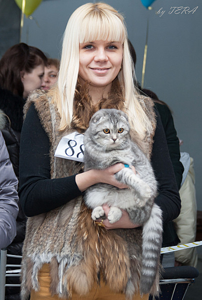 click for enlarge 1619 X 2403 475.6 Kb picture