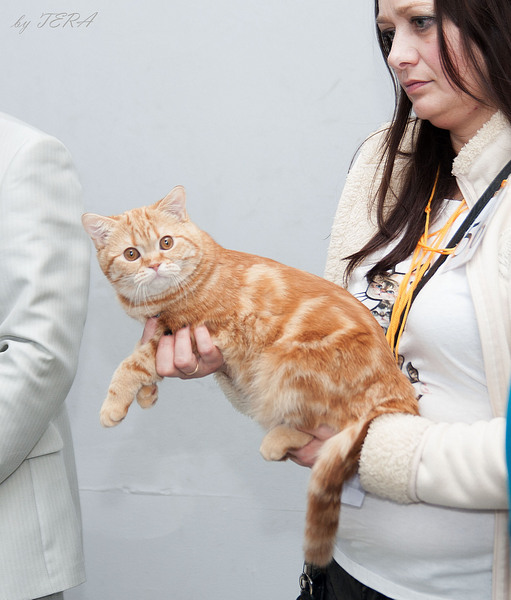 click for enlarge 1920 X 2253 812.0 Kb picture